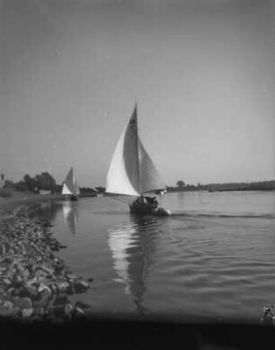 Dresden. Segelboote auf der Elbe zwische Blasewitz und Pillnitz