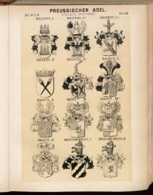 Taf. 22. Brandt. I. - Brandt. Iᵃ. - Brandt. Iᵇ. - Brandt. II. - Brandt. IIᵃ. - Braun. I. - Braun. II. - Braun. III. - Braun. IIIᵃ. - Braun. IV. - Braunbehrens. I. - Braunbehrens. II.