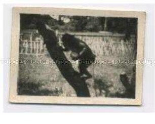 Affe am Baum, Foto aus dem Indochina-Konvolut des Legionärs Harry Weiss