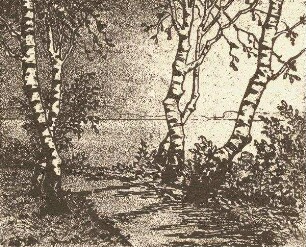 Birkenweg am See