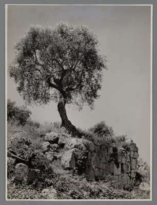 Etruskische Mauer in Ansedonia, Toskana