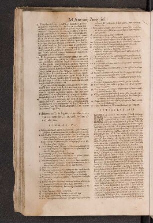 Articulus XXXI.