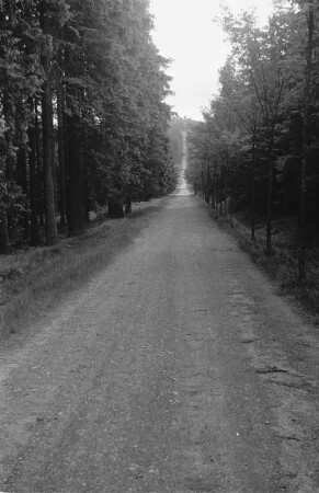 Waldweg : Wald gesäumter Weg am Erzgebirgskamm