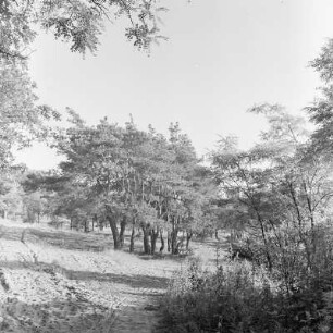 Landschaft um Christianstadt am Bober. : Krajina wokoło Krzystkowice při Bobru, měšćanski dźěl města Nowogród Bobrzański.