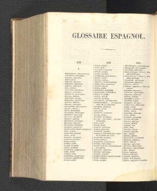 Glossaire Espagnol.