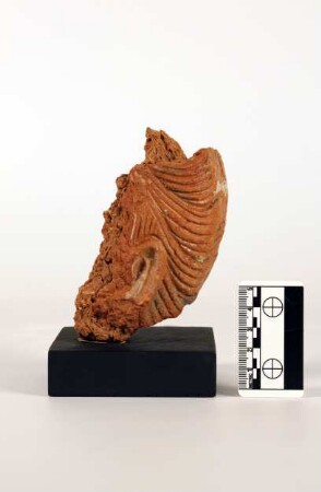 Fragment eines Devata-Kopfes