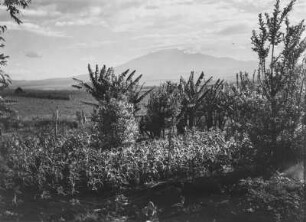 Mount Meru : Blick auf den Vulkan Mount Meru