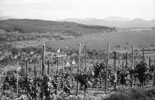 Batzenberg: Blick vom Batzenberg gegen die Schwarzwaldberge