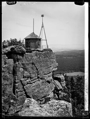 Großer Heuscheuer: Felsenecke