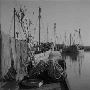 Saßnitz. Fischereihafen mit Fischerbooten