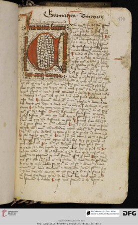 Vincentius Gruner, Tractatus de quartibus specieus grammaticae, mit Kommentar