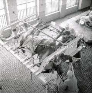 Pferd in Operationshalterung in der Bezirkstierklinik Rostock