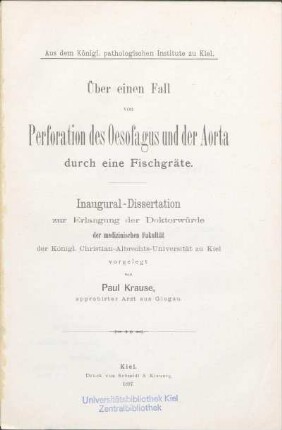 Über einen Fall von Perforation des Oesofagus und der Aorta durch eine Fischgräte