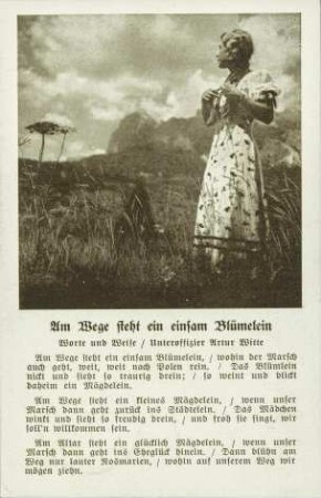 Am Wege steht ein einsam Blümelein