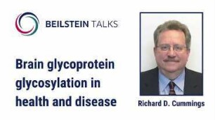 Brain glycoprotein glycosylation in health and disease