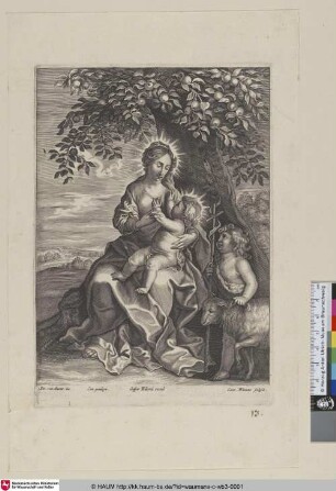 [Jungfrau und Kind mit dem kindlichen Johannes; Virgin and Child with the infant John the Baptist]