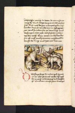 Der Katzenkönig hält Rat mit den Katzen; (Kapitel XVI: Von den Vögeln).