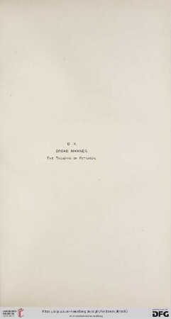 B. II. Broad Manner. The Triumphs of Petrarch