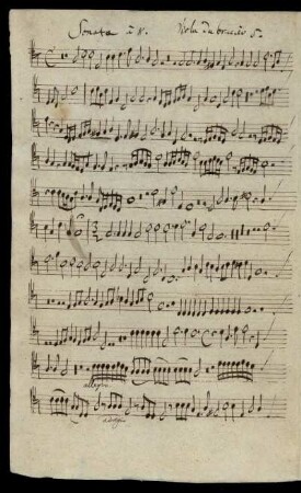 Viola da braccio 5