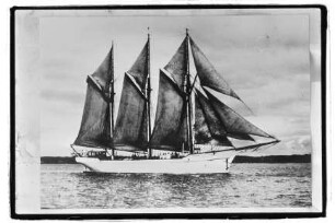 Hanseat (1899), Dt. Seesport-Verband