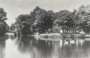 Blick über den Carolasee zum Carolaschlößchen