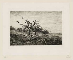 Baum mit Raben