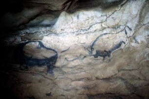 Grotte du Portel: SW200504