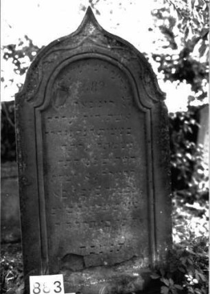 Grabstein 883