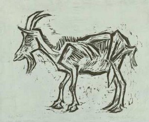 Ziege