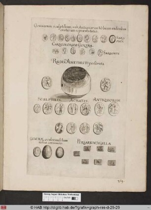 Gemmarum sculptilium, sub Antiquarum Urbium ruderibus erutarum repraesentatio.