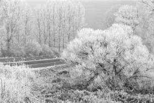 Winterstimmung