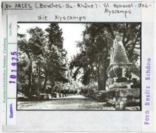 Arles: Alyscamps Friedhof