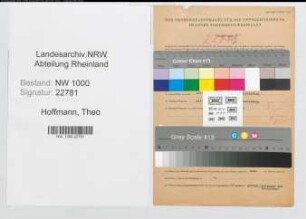 Entnazifizierung Theo Hoffmann, geb. 24.04.1903 (Verw.Inspektor)