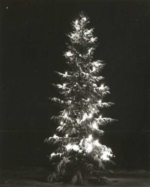 Schmiedeberg (Dippoldiswalde-Schmiedeberg). Illuminierter Weihnachtsbaum