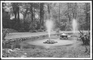 Lichtenwalde. Schlosspark