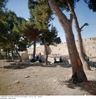 Israel: Am Löwentor
