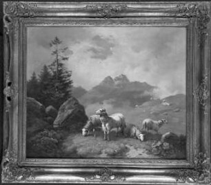 Schafe auf der Alm