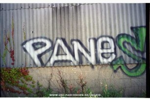 PANe