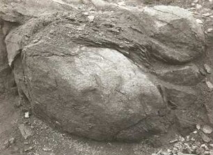 Lausitzer Bergland. Granititbruch bei Schönberg (Cunewalde). Schalenstruktur eines Blockes