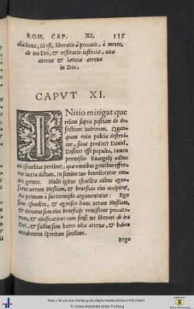 In epistolam ad Rom. Cap. XI.