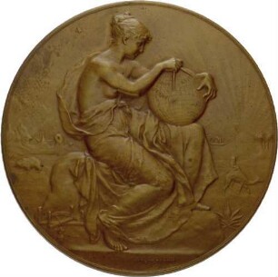 Geographie-Preis-Medaille