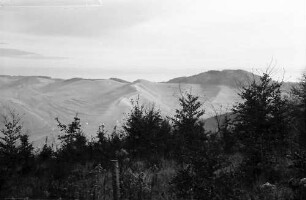 Totenkopf: Blick vom Totenkopf auf Badberg und Schwarzwald