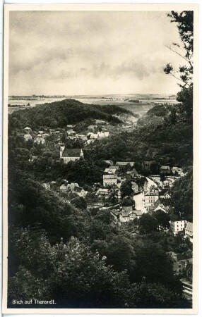 Tharandt. Blick auf Tharandt