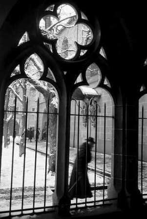 Freiburg i. Br.: Fenster im Kreuzgang am Rathausplatz