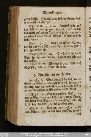 7. Beruhigung im Leiden.