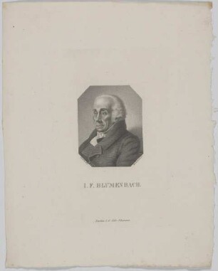 Bildnis des I. F. Blumenbach