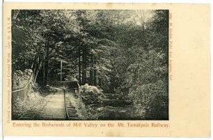 Mill Valley. Entering the Redwods of Mill Valley on the Mt. Tamalpais Railway