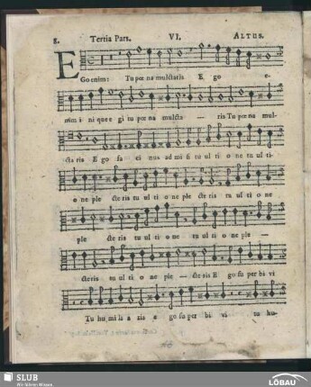VI. Ego enim inique egi; SWV 58