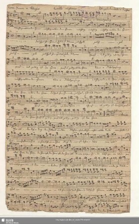 Canto ripieno