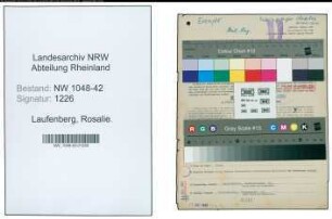 Entnazifizierung Rosalie Laufenberg , geb. 08.06.1895 (Kauffrau)